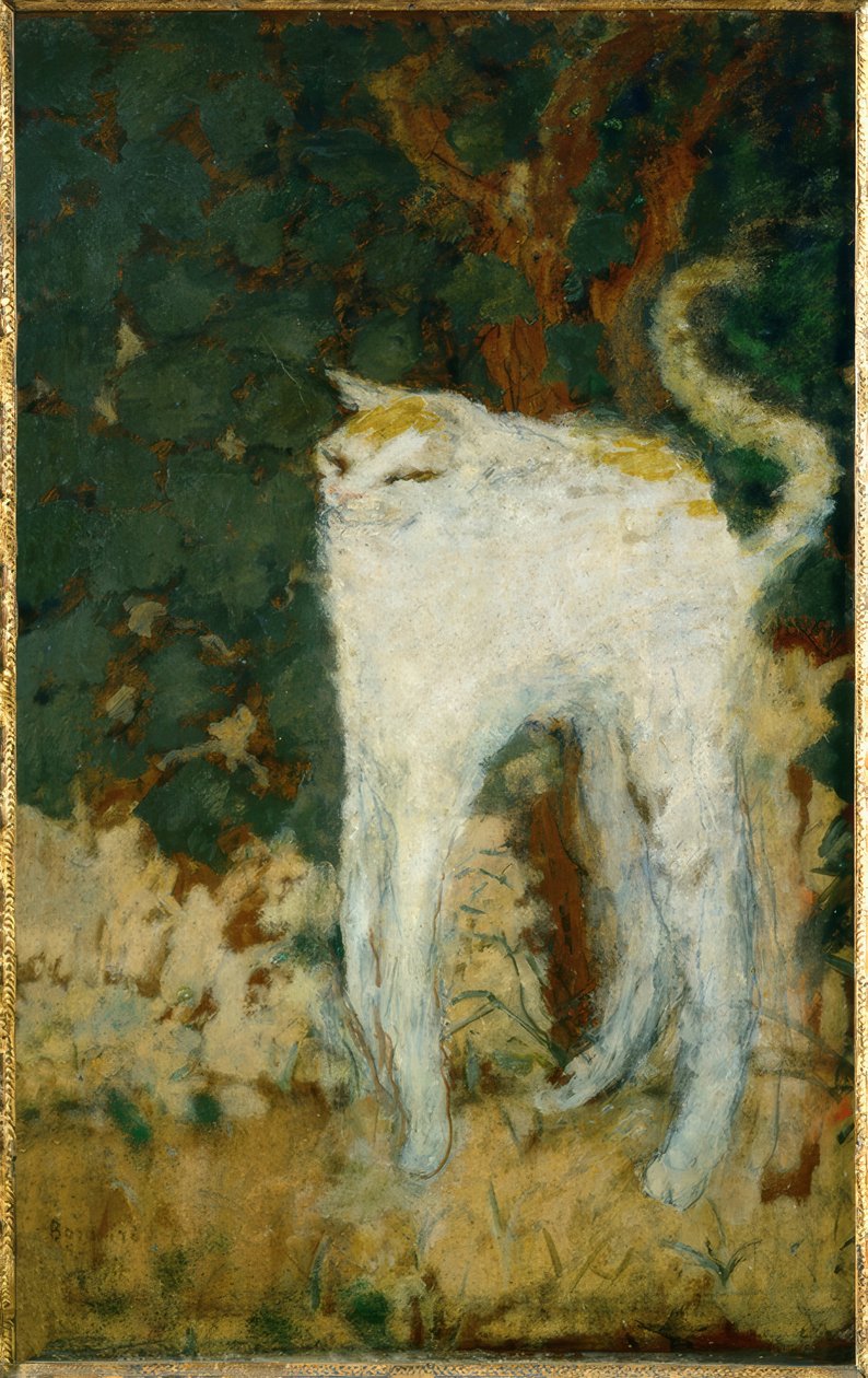 Le chat blanc tekijältä Pierre Bonnard