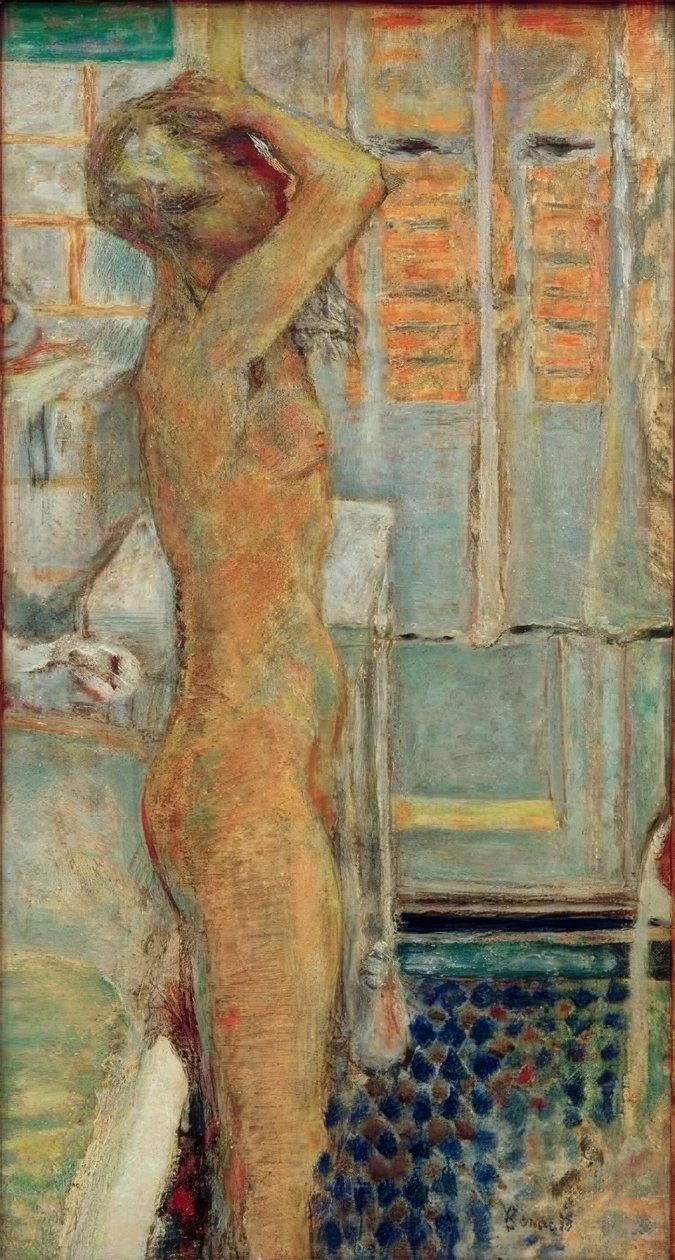 Ei profiilia harmaa tekijältä Pierre Bonnard