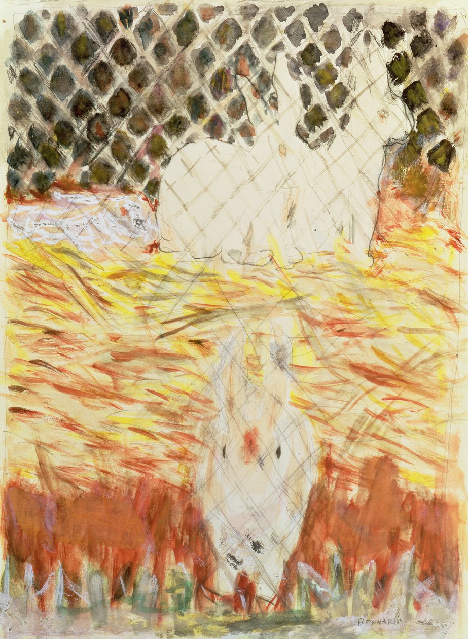 Kanit, noin 1930 tekijältä Pierre Bonnard