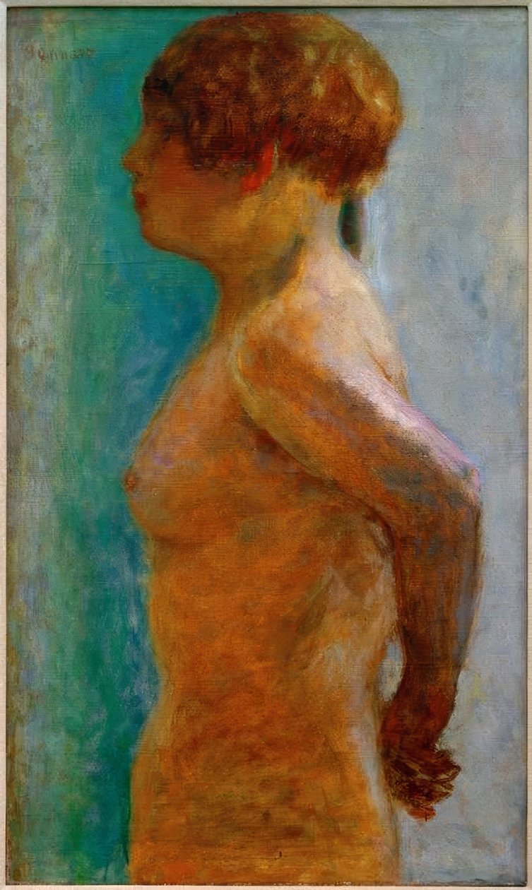 Naisen vartalo profiilissa tekijältä Pierre Bonnard
