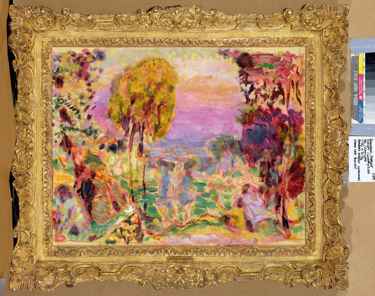 Violetti maaseutu tekijältä Pierre Bonnard