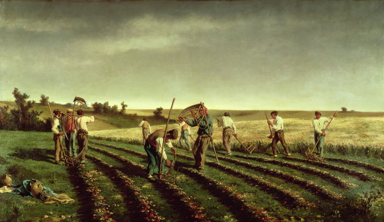 Esparmun korjuu Chambaudouinissa, 1882 tekijältä Pierre Edmond Alexandre Hedouin
