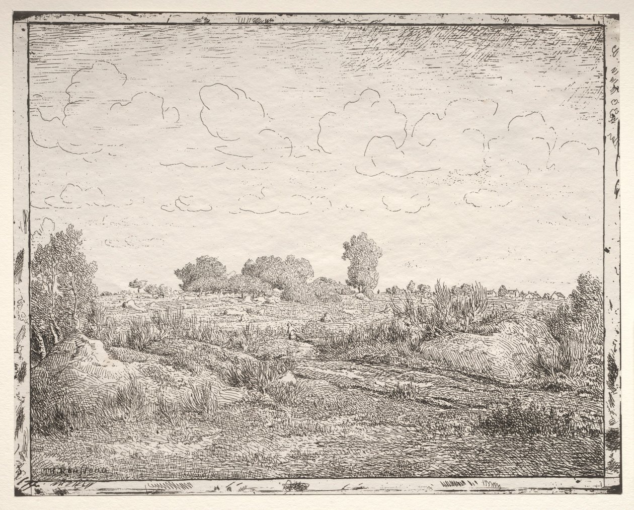 Plant Plain Biaussa. tekijältä Pierre Etienne Theodore Rousseau