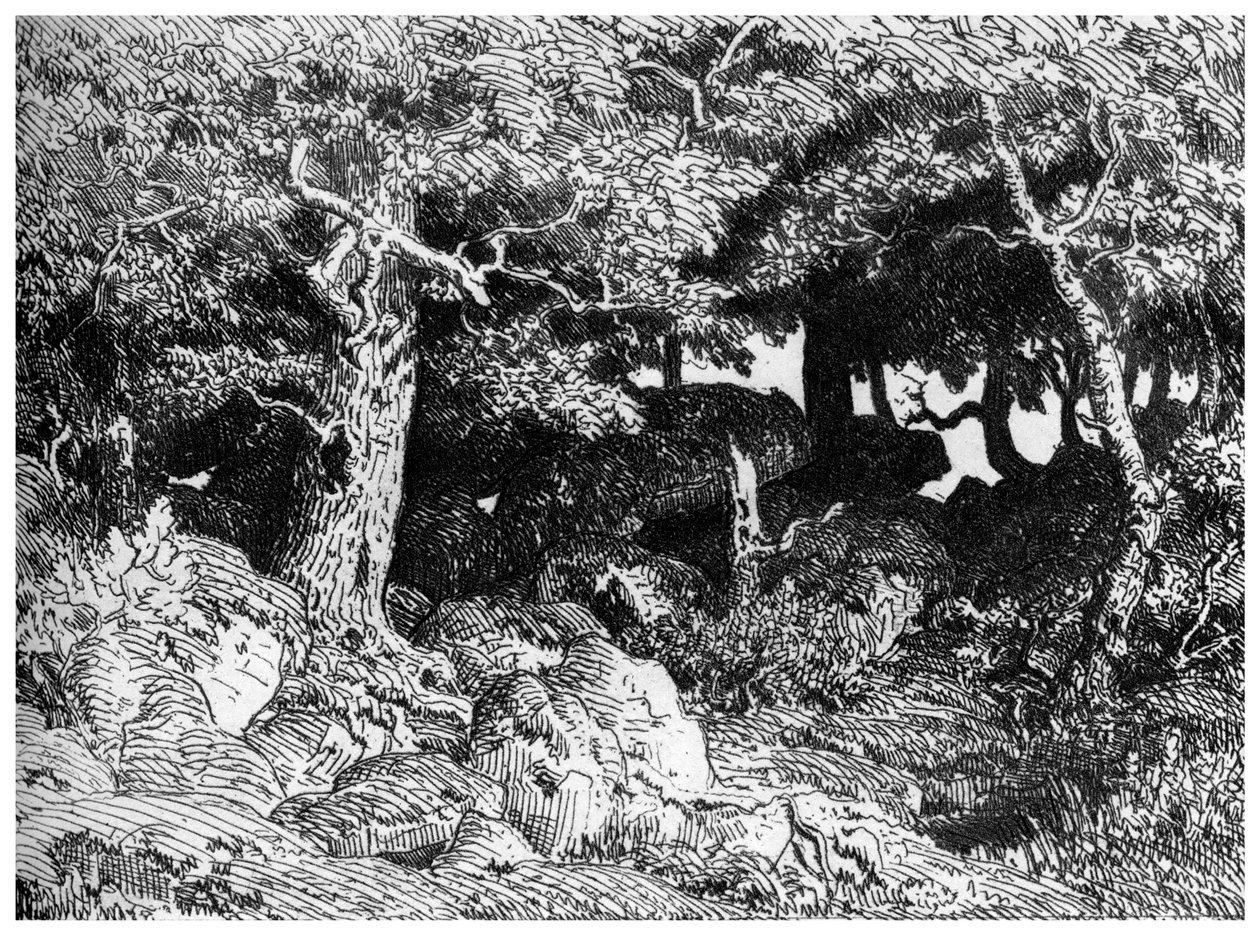 Chenes de Roche, c1832-1860, 1924 tekijältä Pierre Etienne Theodore Rousseau