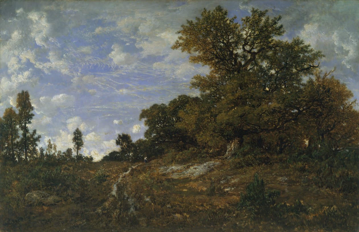 Metsän reuna Monts-Girardissa, Fontainebleaun metsässä, 1852-54. tekijältä Pierre Etienne Theodore Rousseau