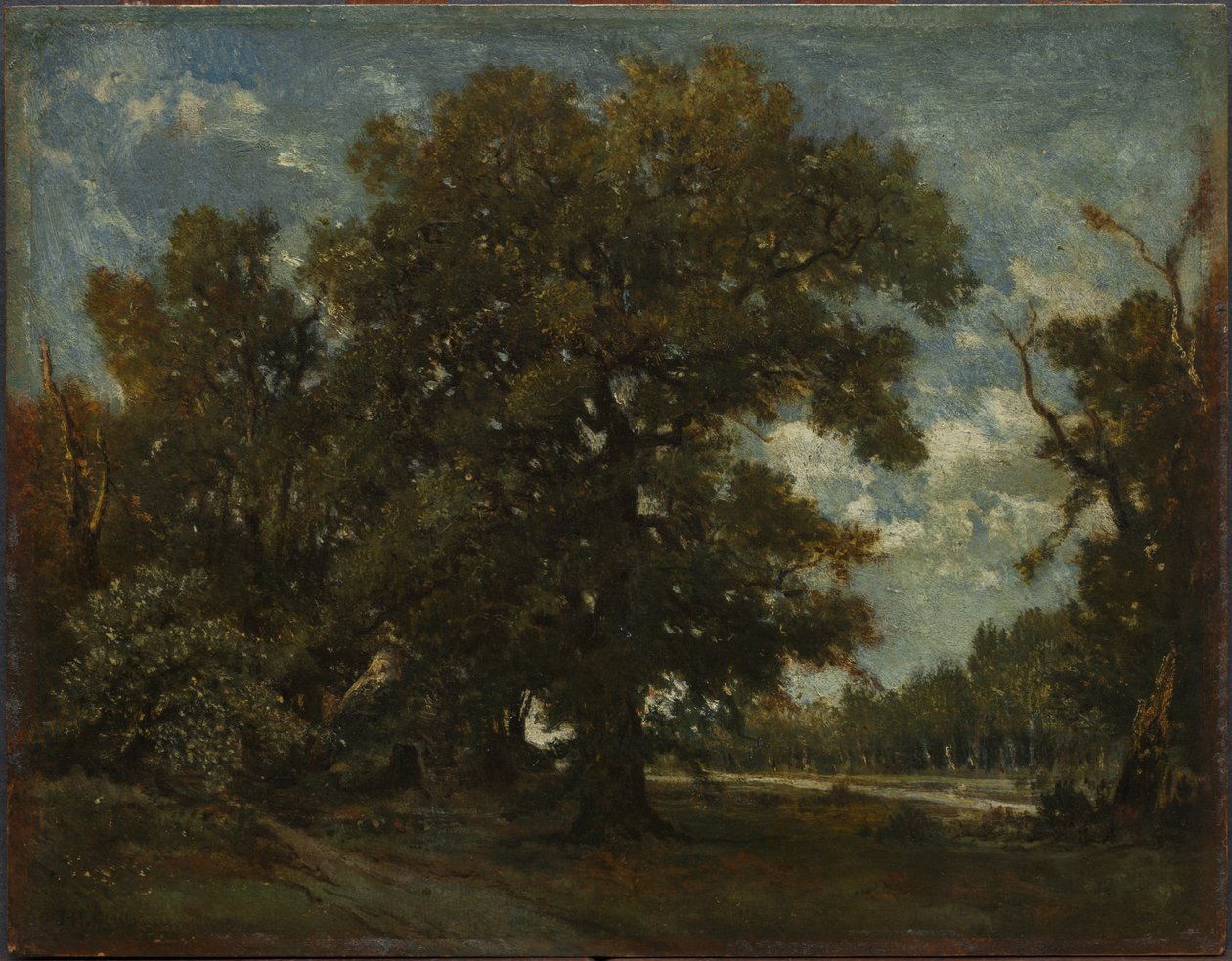 Tammi, 1800-luku. tekijältä Pierre Etienne Theodore Rousseau