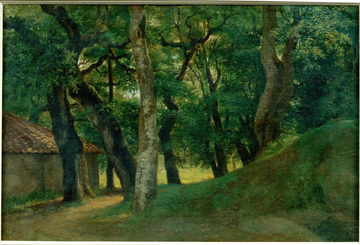 Foret de la Villa Borghese - Villa Borghesen metsä ... tekijältä Pierre Henri de Valenciennes