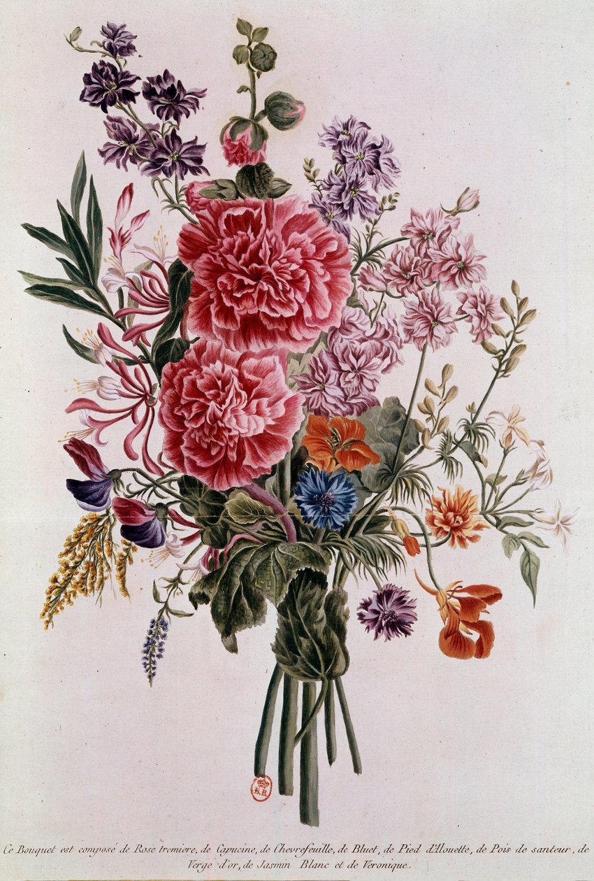 Ruusuista sävelletty kimppu Pierre Joseph Buchozin litografia (1731-1807) 1700-luvun Pariisi, B.N. tekijältä Pierre Joseph Buchoz
