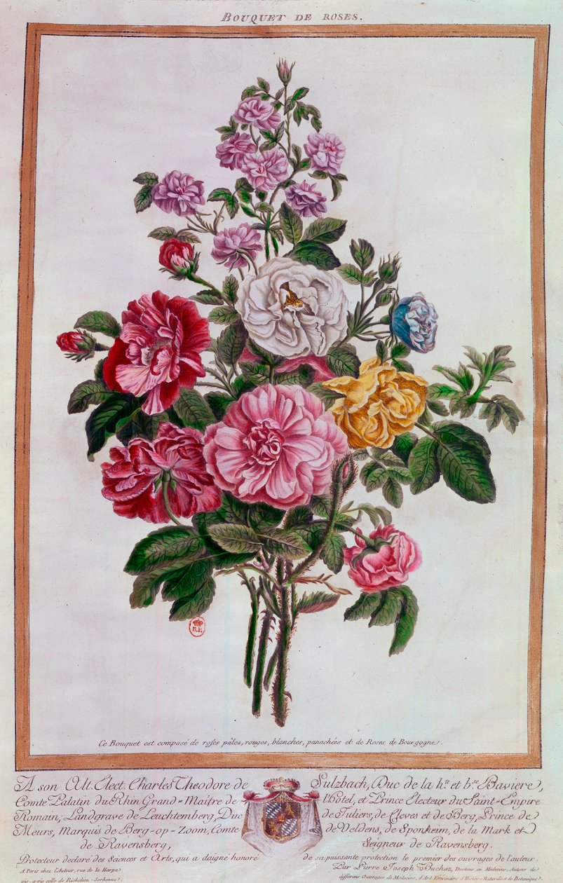 Ruusukimppu Pierre Joseph Buchozin litografia (1731-1807) 1700-luvun Pariisi, B.N. tekijältä Pierre Joseph Buchoz