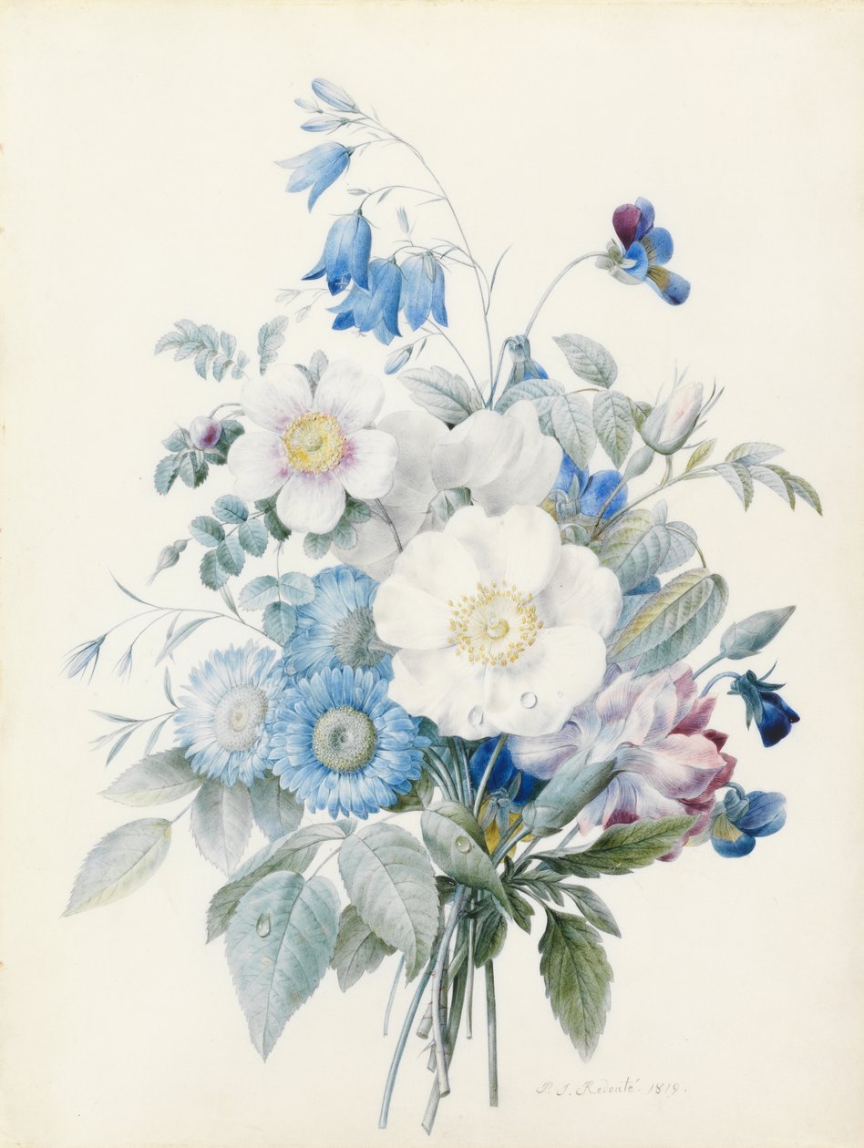 Sinisiä astereja, rosa spinosissima (hybridi), harebell, orvokkeja, neilikka ja villiruusu. tekijältä Pierre Joseph Redouté