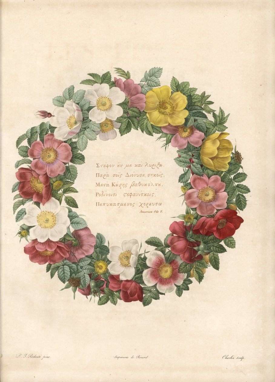 Ruusukruunu kreikkalaisella mottolla - Charlinin Eau forte Pierre Joseph Redouten (1759-1840) kuvituksen jälkeen Les Rosesista tekijältä Pierre Joseph Redouté