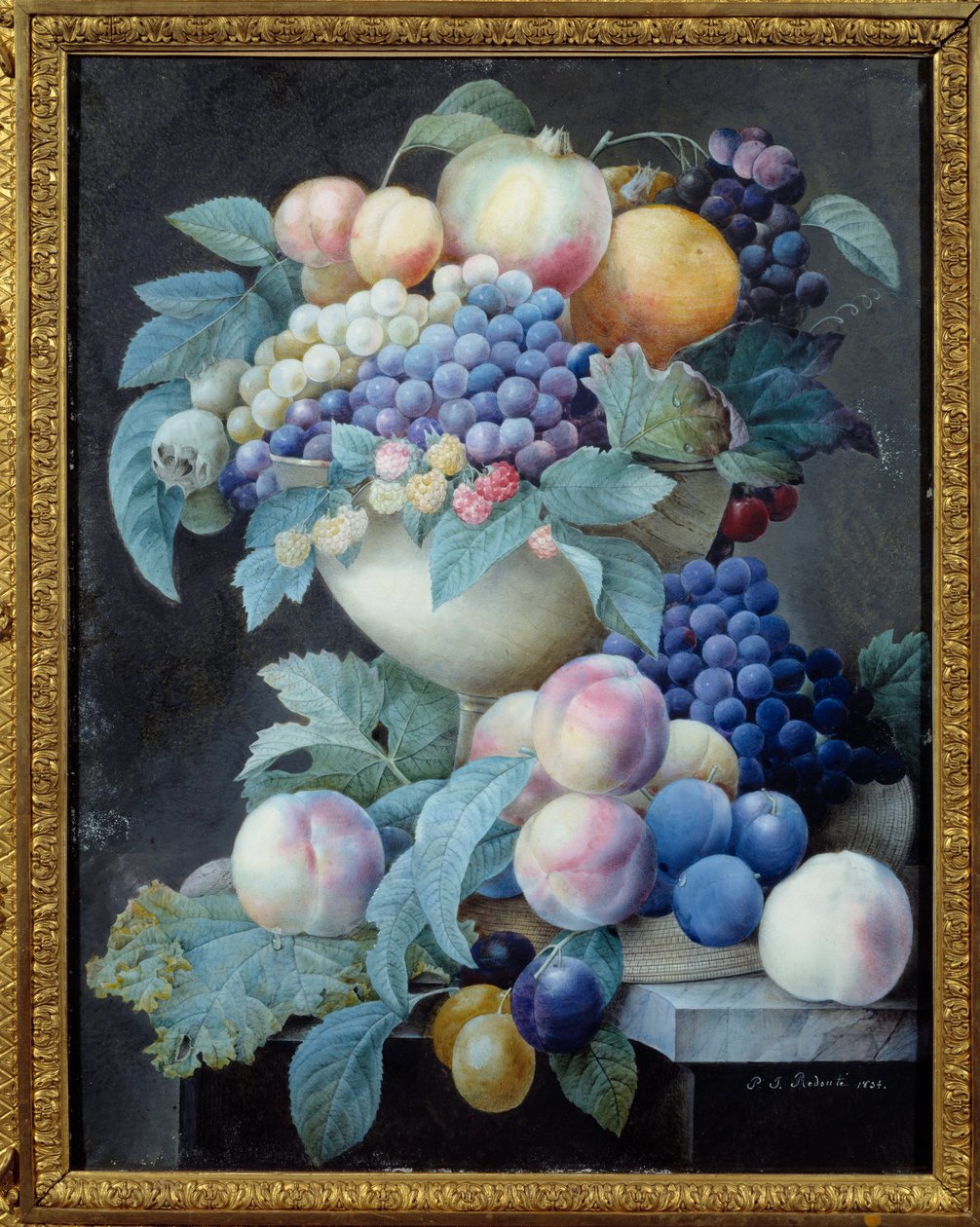 Rypäleet kupissa. Pierre Joseph Redouten (1759-1840) maalaus tekijältä Pierre Joseph Redouté