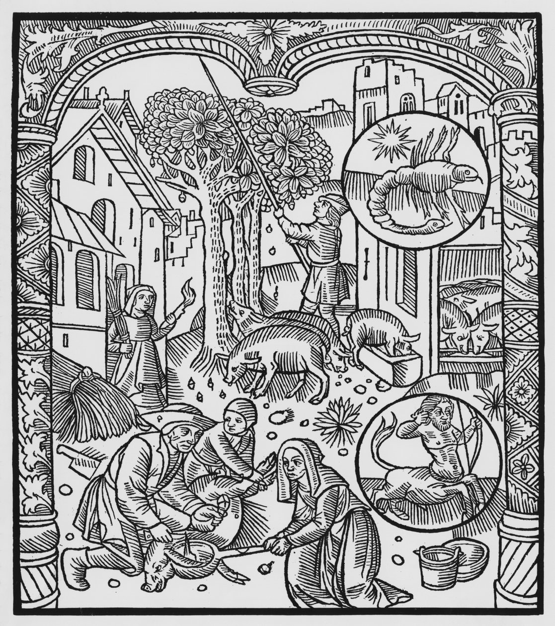 Marraskuu, sian tappaminen ja tammenterhojen korjuu, Skorpioni, kuvitus "Almanach des Bergersistä", 1491 (ksylografi) tekijältä Pierre Le Rouge
