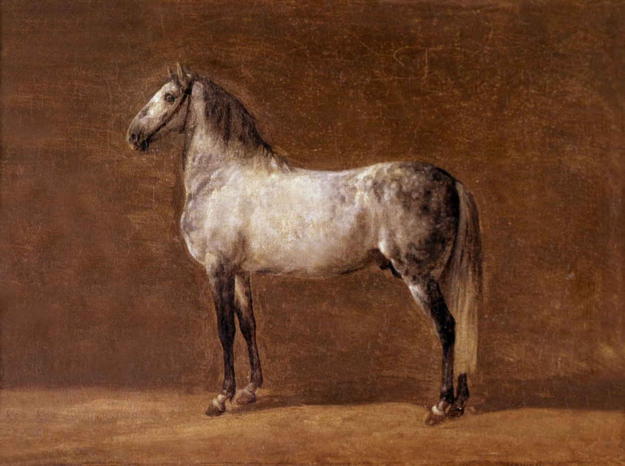 Keisari Napoleon I:n hevonen: Cheikh, Pierre Martinetin maalaus tekijältä Pierre Martinet