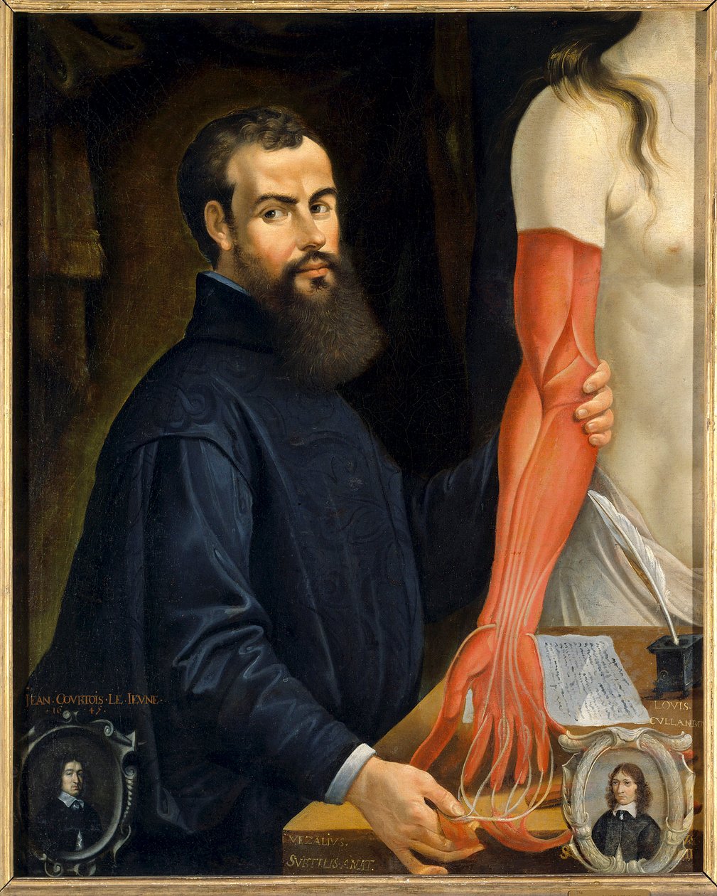 Muotokuva Andre Vesalesta (Andrea Vesalius tai Andries Van Wesel), Charles V:n anatomista ja lääkäristä (1514-1564)”” Pierre Poncetin (1574-1640) maalaus Sun. 0,96 x 0,77 m Orleansin taidemuseo – Andrea Vasaliuksen (tai Andries Van Weselin) muotokuva (157 tekijältä Pierre Poncet