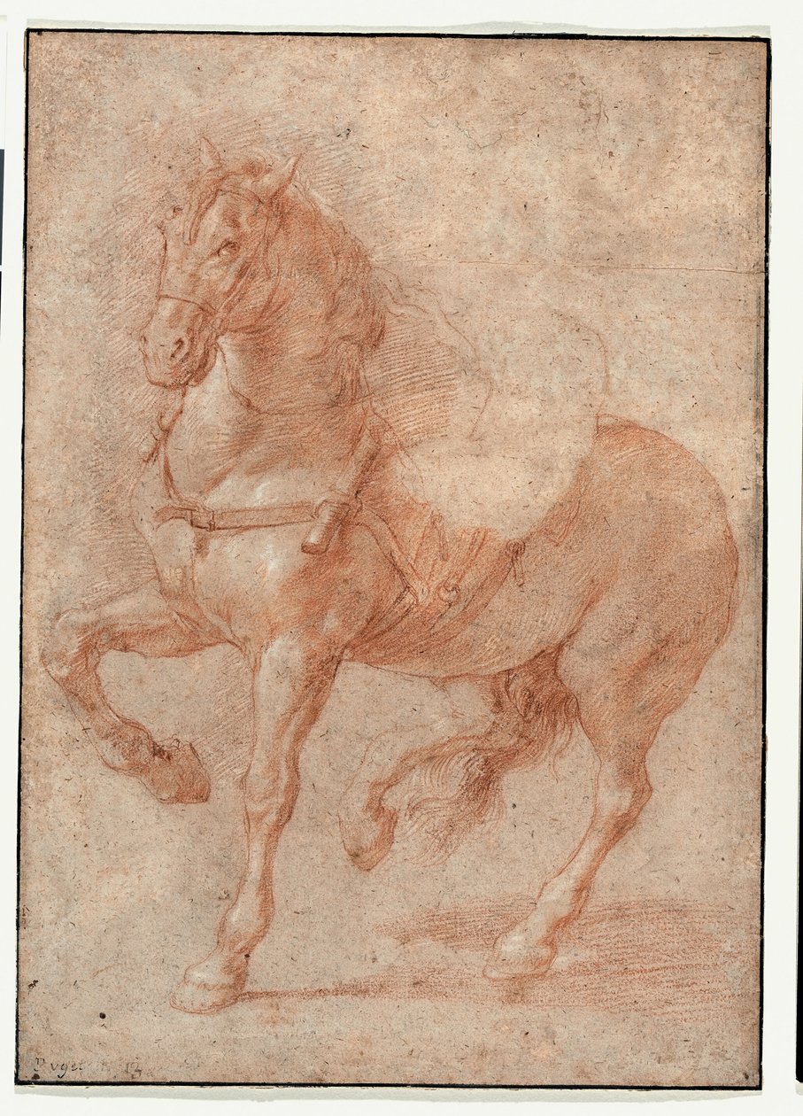 Tutkimus Bucephalus varten Relief "Alexander ja Diogenes" tekijältä Pierre Puget