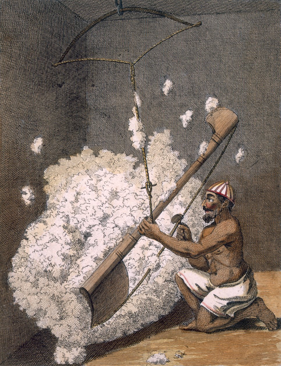 Karstauspuuvillaa, 1782. tekijältä Pierre Sonnerat