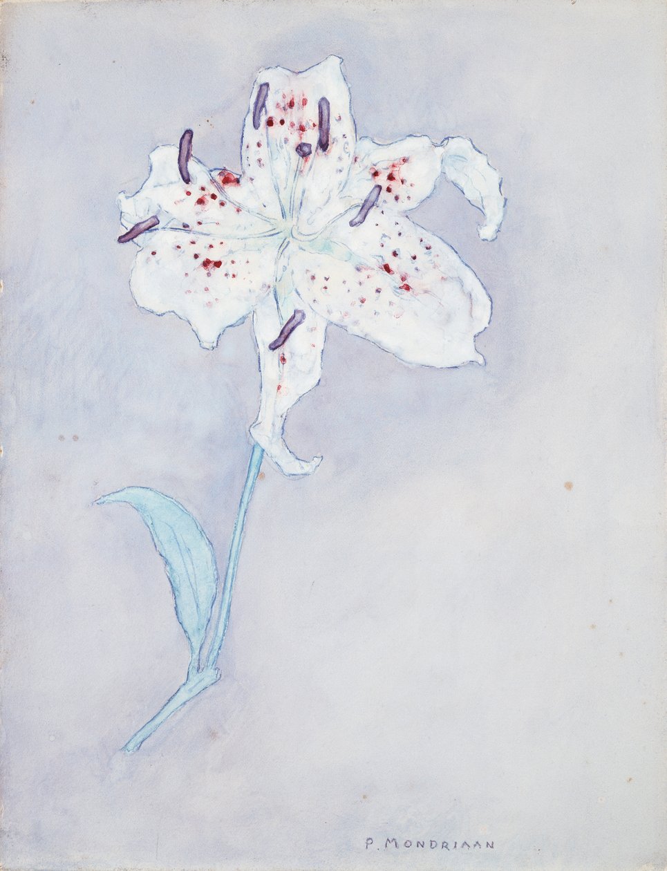 Lilja, n. 1920-25 (akvarelli paperille) tekijältä Piet Mondrian