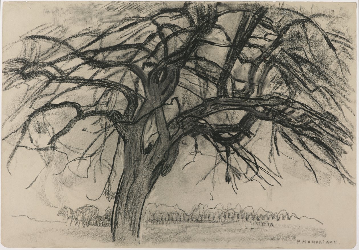 Alustava tutkimus iltaa varten: Punainen puu, 1908 (mustaa värikynää ja hiiltä paperille). tekijältä Piet Mondrian