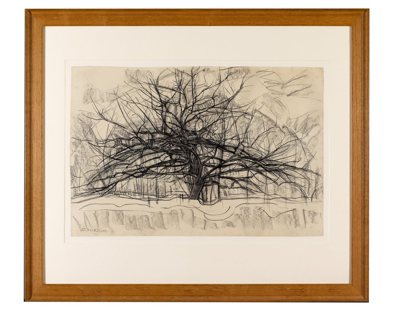 Harmaan puun luonnos, 1911 (mustaa värikynää paperille). tekijältä Piet Mondrian