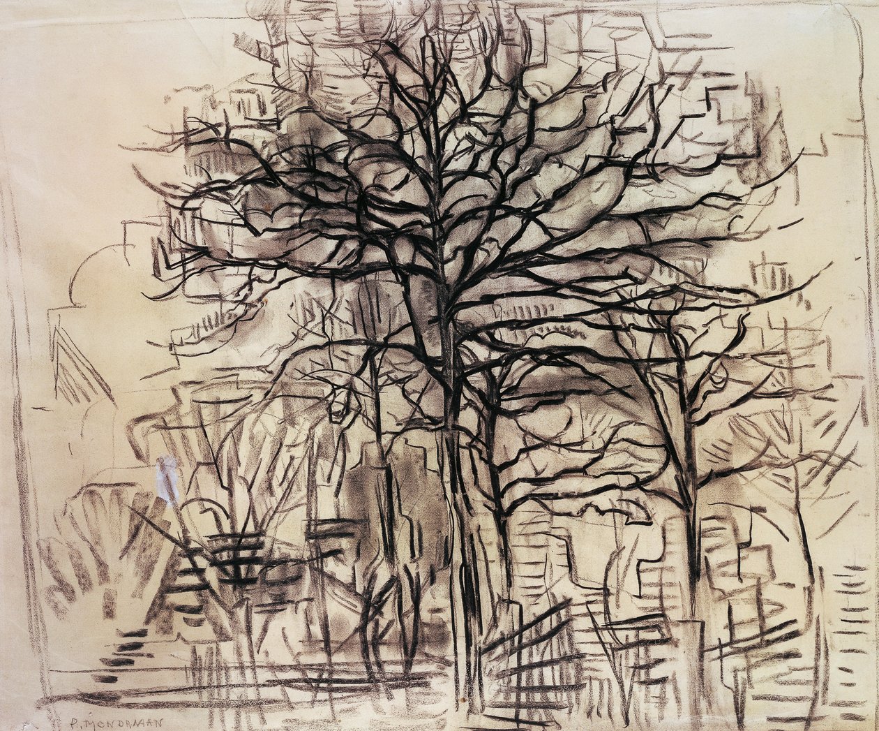 Piet Mondrianin (1872-1944) tutkimus puista, piirros hiilestä ja valkoisesta lyijystä. Alankomaat, 1900-luku. tekijältä Piet Mondrian
