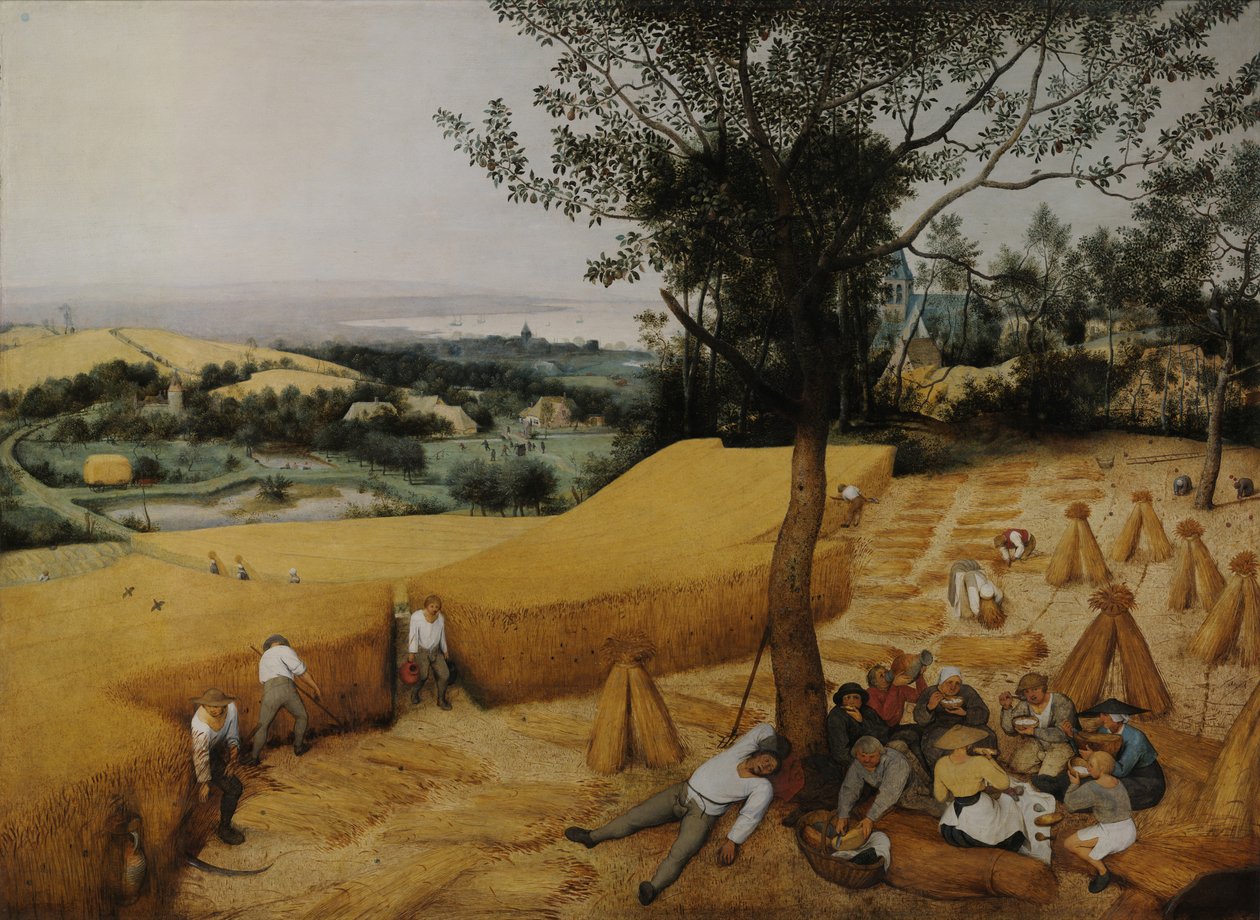 Sadonkorjaajat tekijältä Pieter Bruegel the Elder
