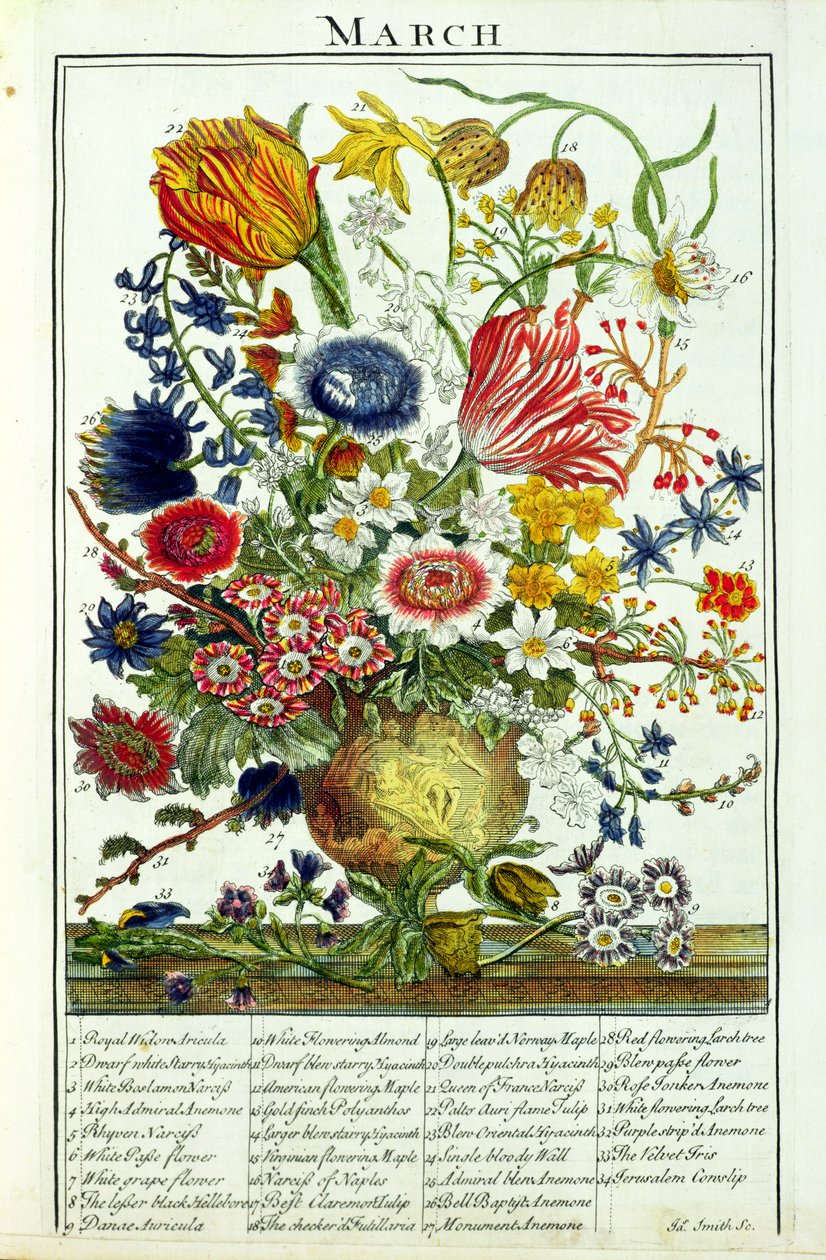 maaliskuuta, Robert Furberin (n. 1674-1756) "Kukkapuutarhasta" -kaiverruksesta, James Smith, pub. 1732 tekijältä Pieter Casteels