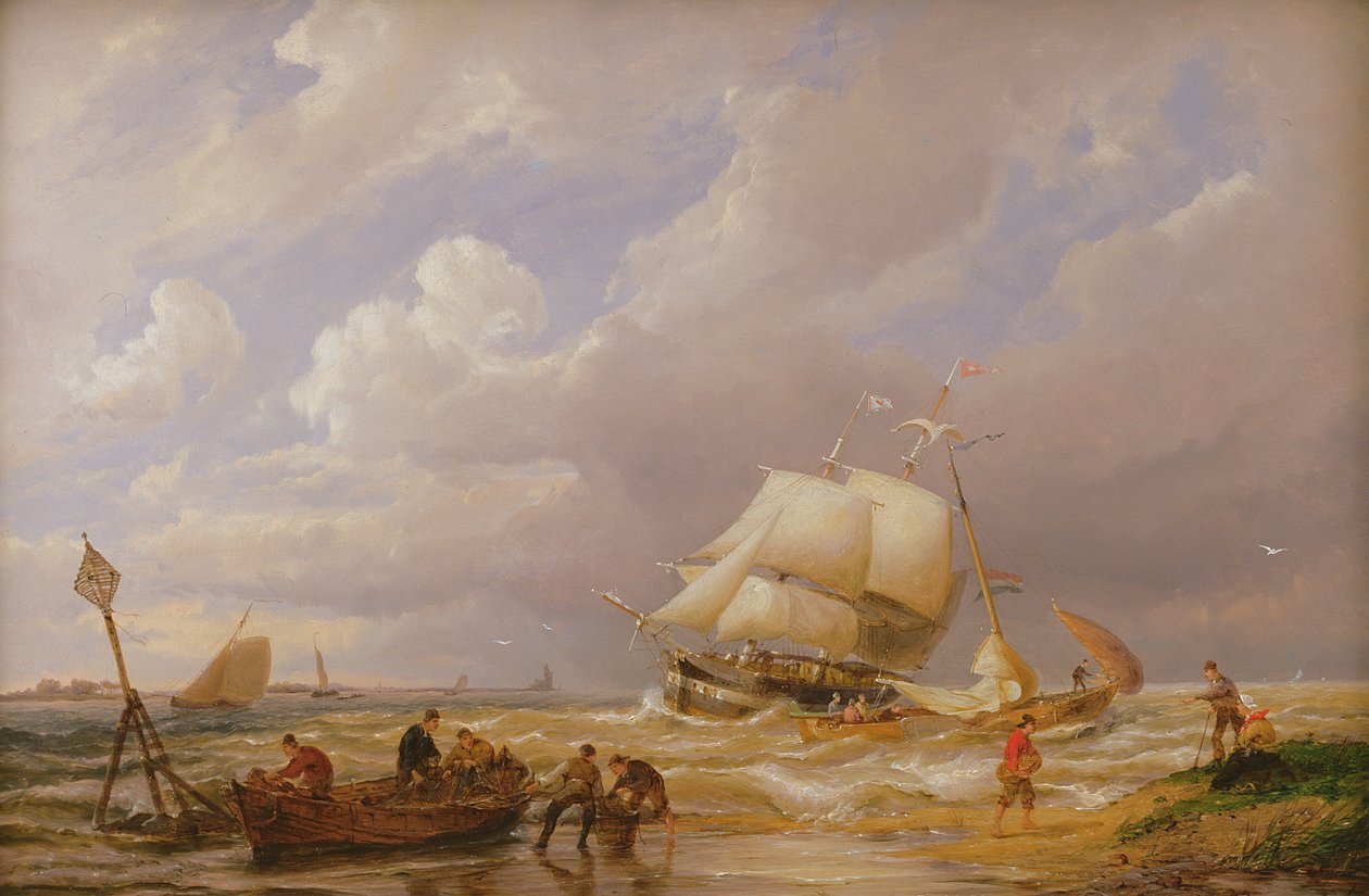 Pampas Zuider Zeellä, 1800-luku tekijältä Pieter Cornelis Dommerson