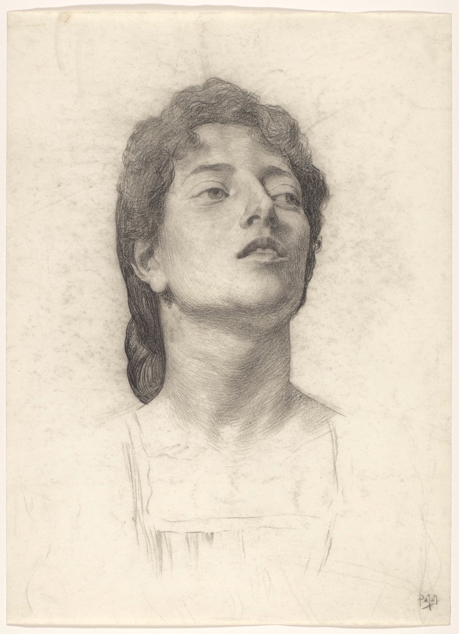 Portret van een vrouw tekijältä Pieter de Josselin