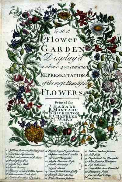 Robert Furberin (n. 1674-1756) "The Flower Garden Displayed" -kaiverrus, James Smith, pub. 1732 (värinen kaiverrus) tekijältä Pieter (after) Casteels