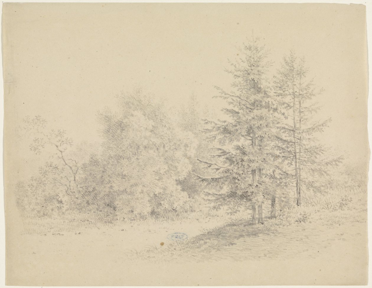 Metsänäkymä mäntyjen kanssa tekijältä Pieter Bartholomeusz. Barbiers