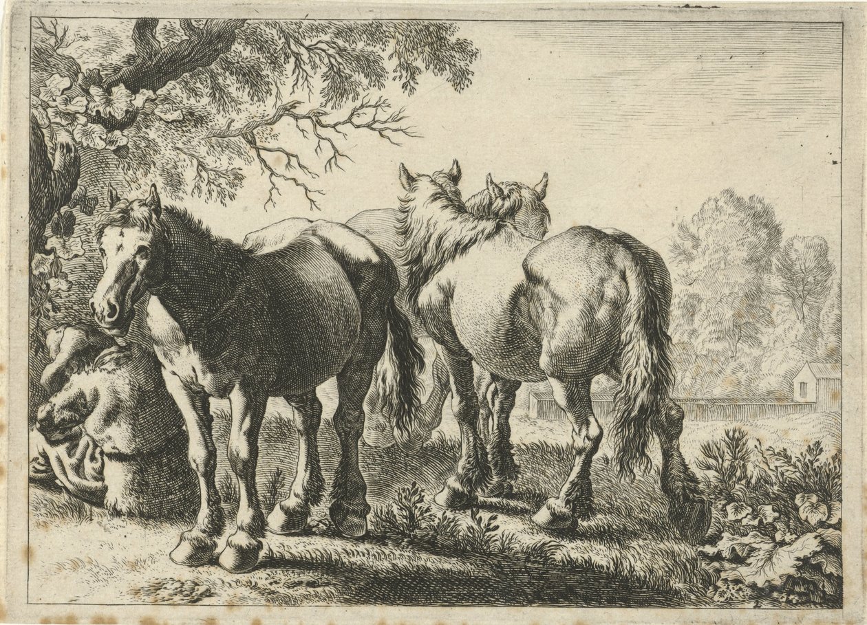 Tres cavalls i un pagès Diferents animals (títol de la sèrie) acabat tekijältä Pieter Bodding van Laer