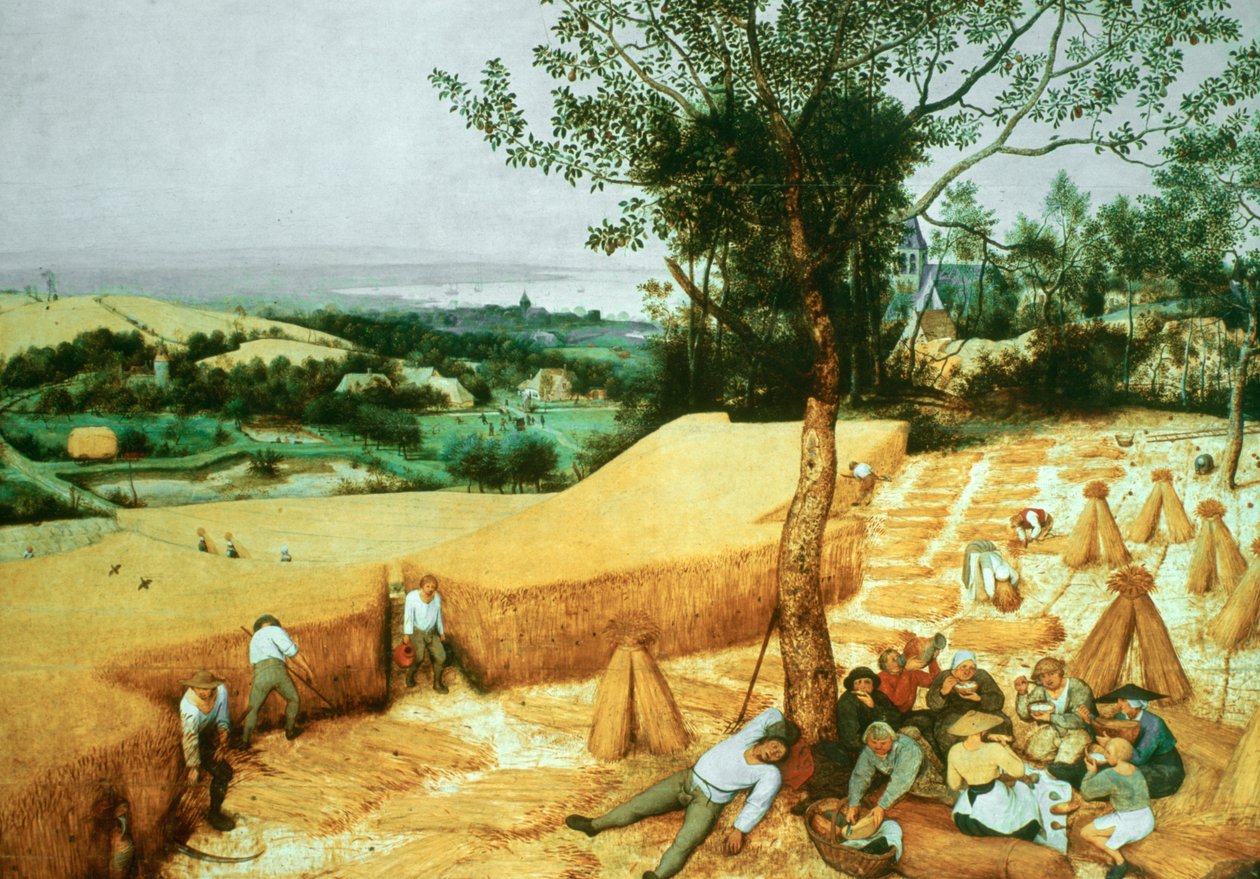 Ledonkorjuukoneet, 1565 tekijältä Pieter Bruegel the Elder