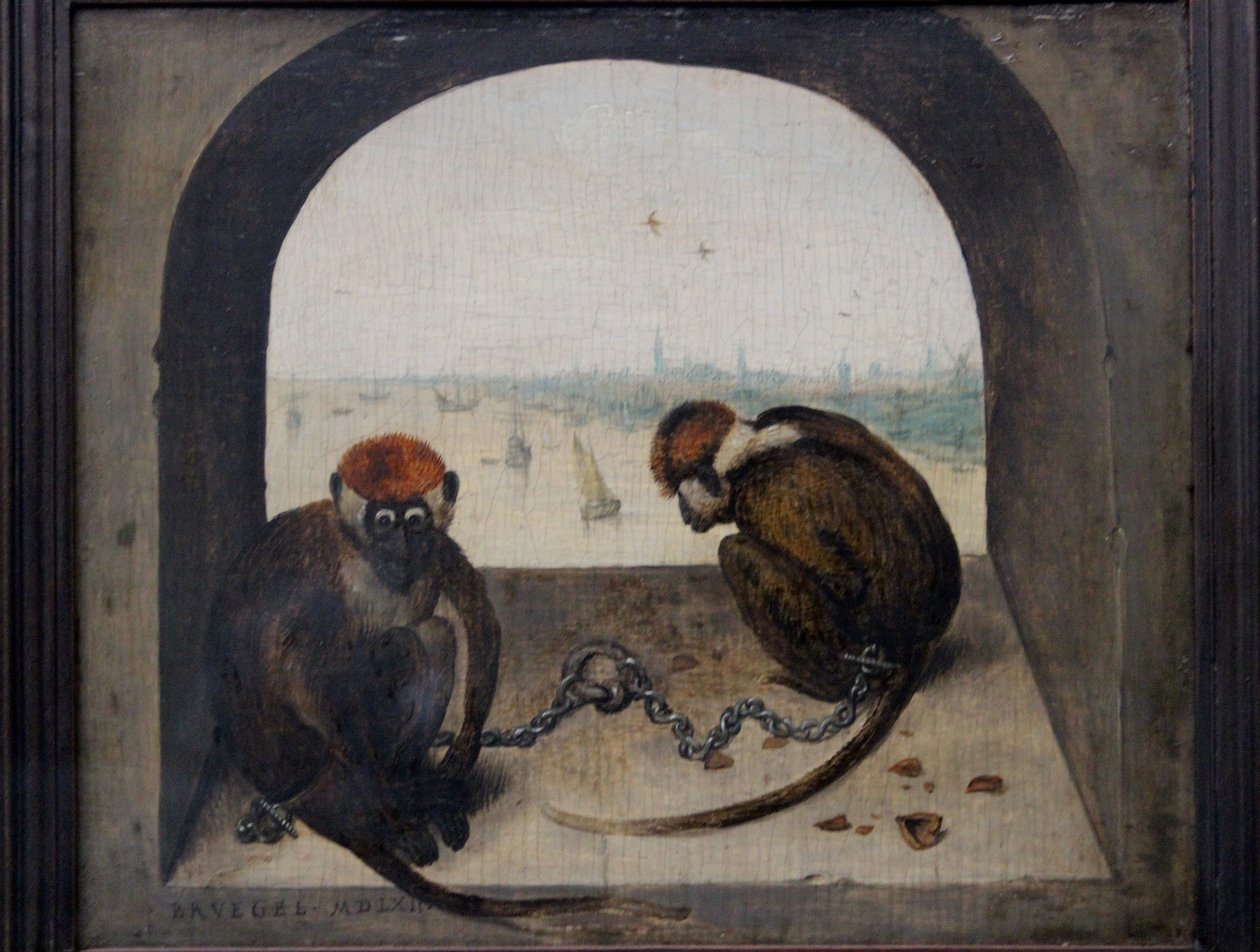 Kaksi kahlittua apinaa tekijältä Pieter Brueghel the Elder
