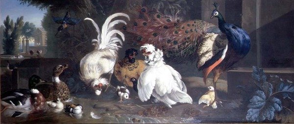 Riikinkukko, kanoja, ankkoja ja kuningaskalastaja tekijältä Pieter Casteels