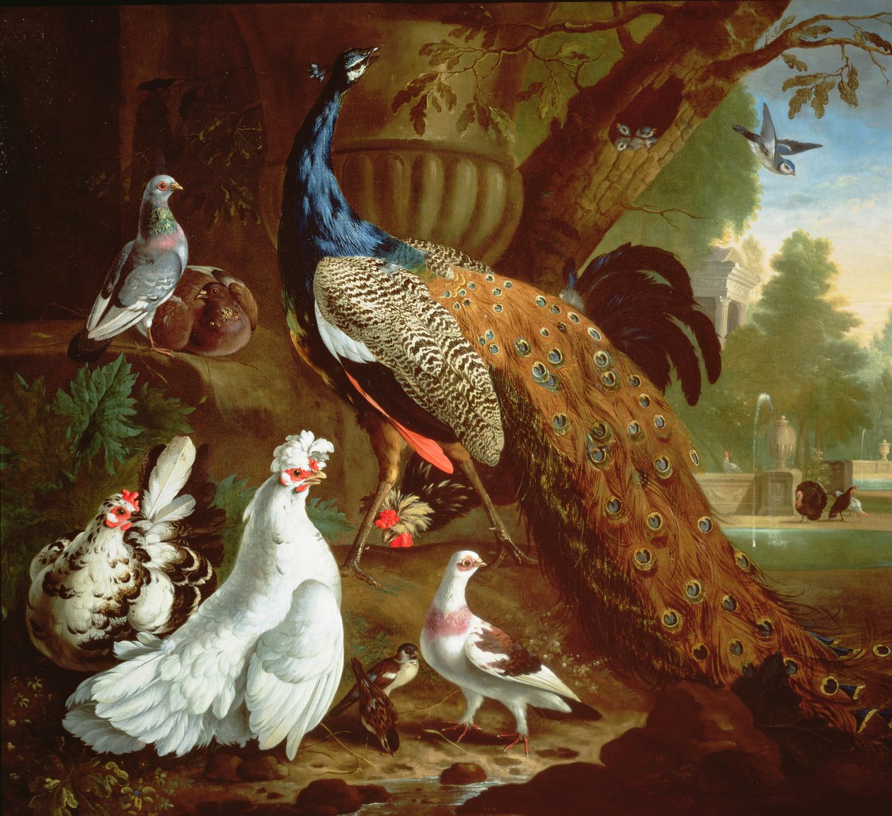 Riikinkukko klassisessa maisemassa, 1719 tekijältä Pieter Casteels