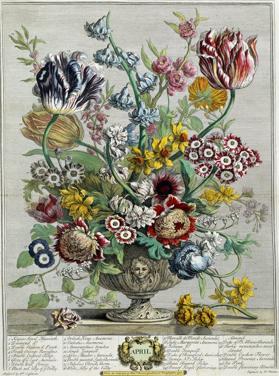 Huhtikuu, kirjasta "Kaksitoista kuukautta kukkia", 1730 tekijältä Pieter Casteels
