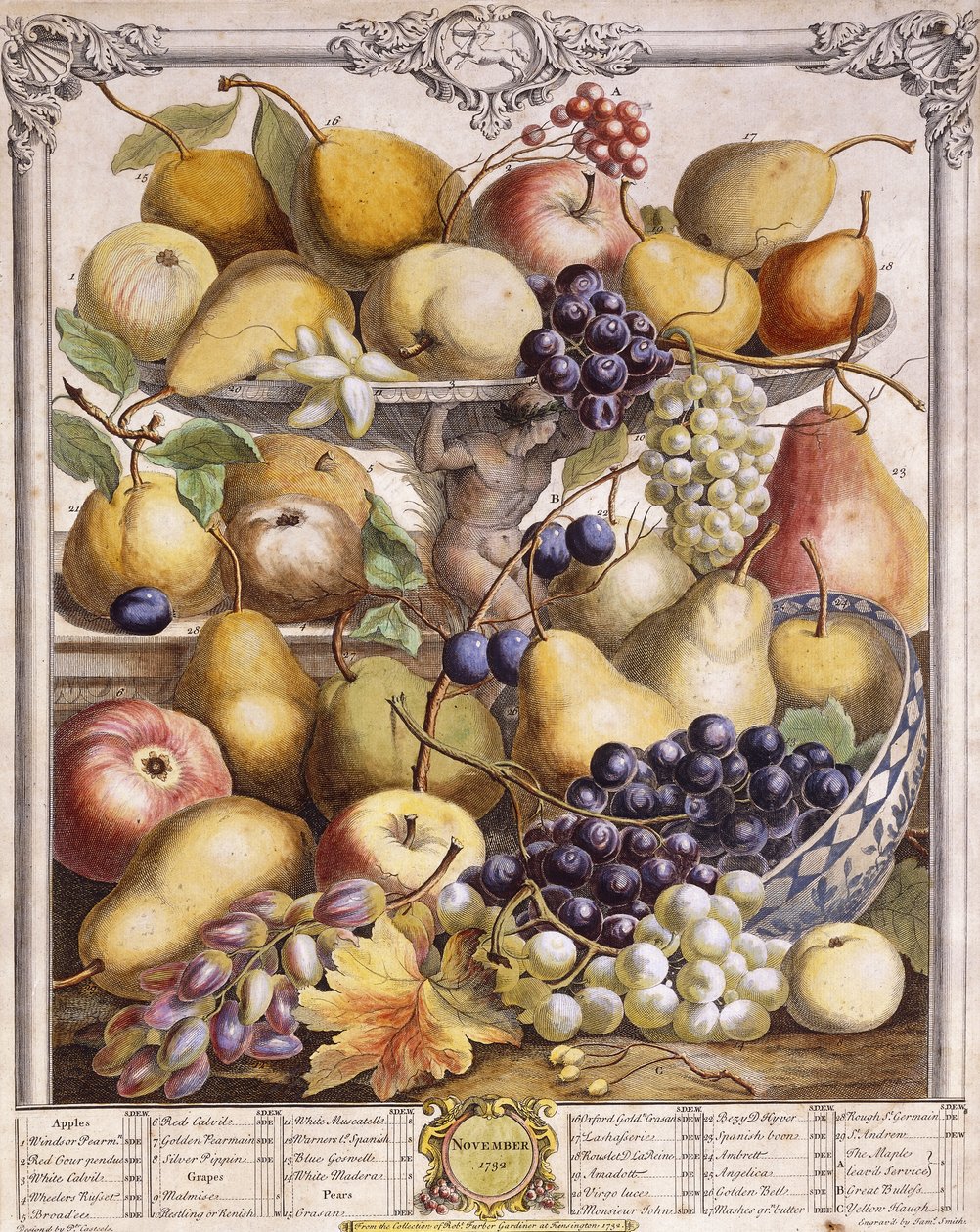 Marraskuu 1732, kauden omenat, päärynät, viinirypäleet jne., 1732 tekijältä Pieter Casteels