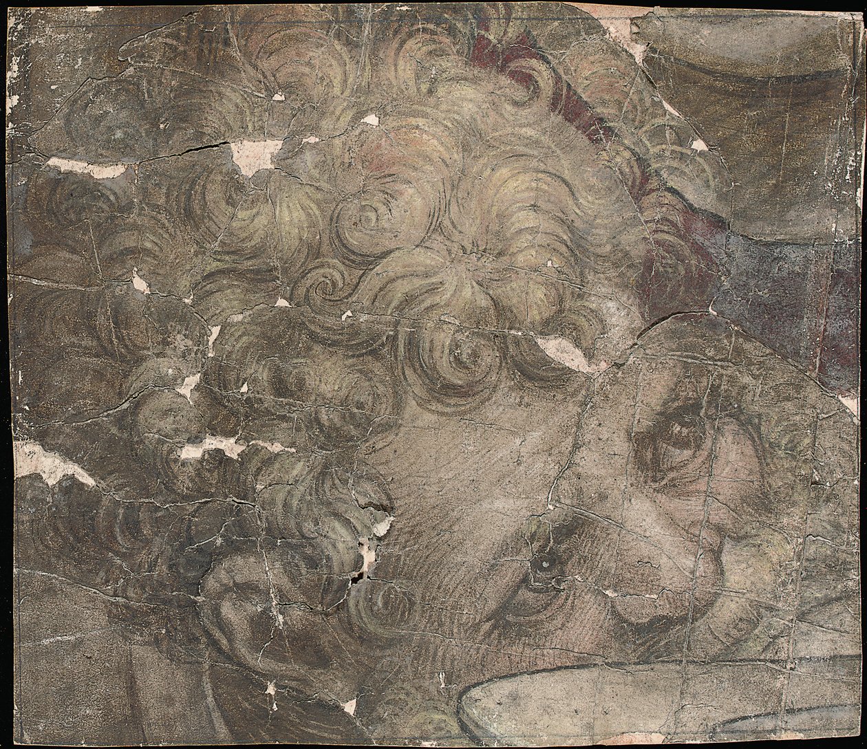 Ylöspäin katsovan parrakkaan miehen pää tekijältä Pieter Coecke van Aelst