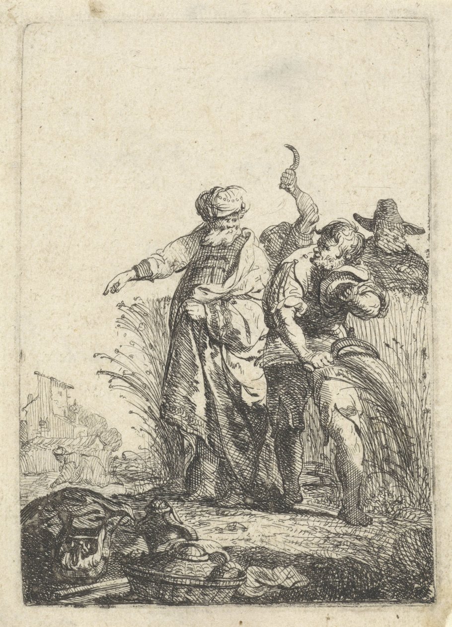Ruth poimii Boasin pellolla tekijältä Pieter Cornelisz. Verbeeck (possibly)