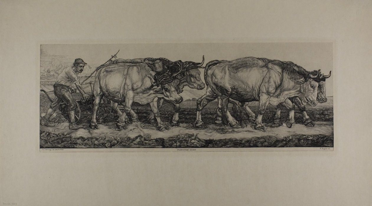 Kyntöhärät tekijältä Pieter Dupont