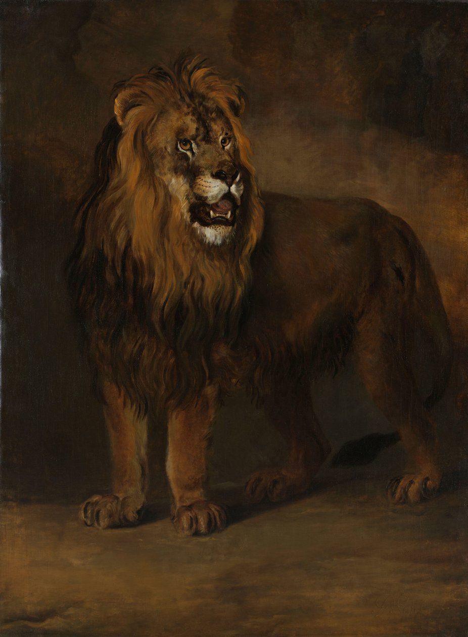 Leijona kuningas Louis Napoleonin eläintarhasta, 1808 tekijältä Pieter Gerardus van Os