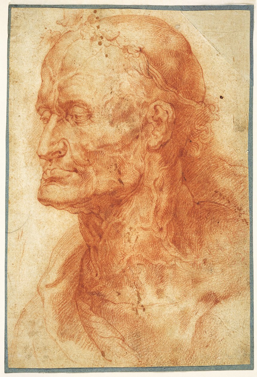 Tutkimus vanhan miehen päästä, noin 1602. tekijältä Pieter Paul Rubens