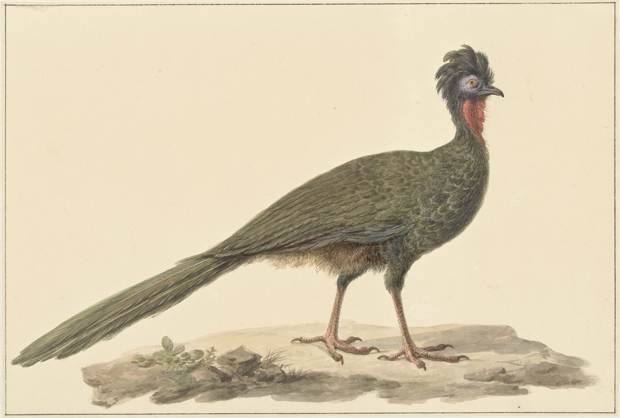 Penelope, maassa tekijältä Pieter Pietersz. Barbiers