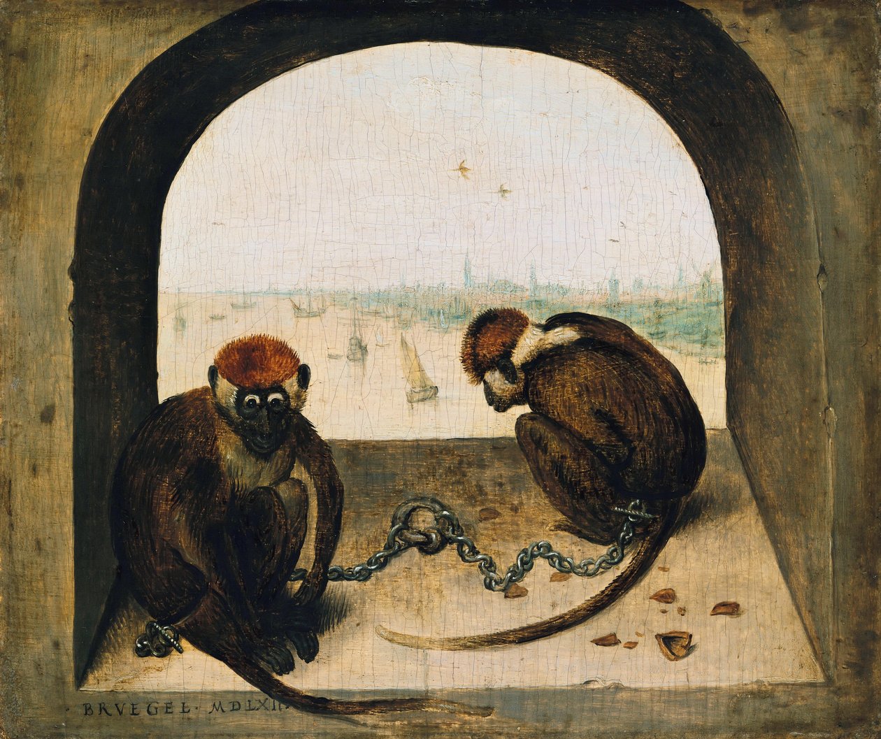 Kaksi ketjutettua apinaa tekijältä Pieter Bruegel the Elder