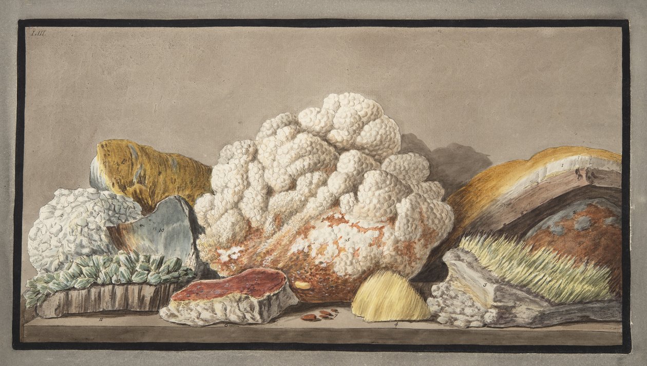 Solfaterran tuotanto, levy 9 julkaisusta "Campi Phlegraei: Observations on the Volcanoes of the Two Sicilies", Sir William Hamilton (1730-1803), julkaistu 1776 tekijältä Pietro Fabris
