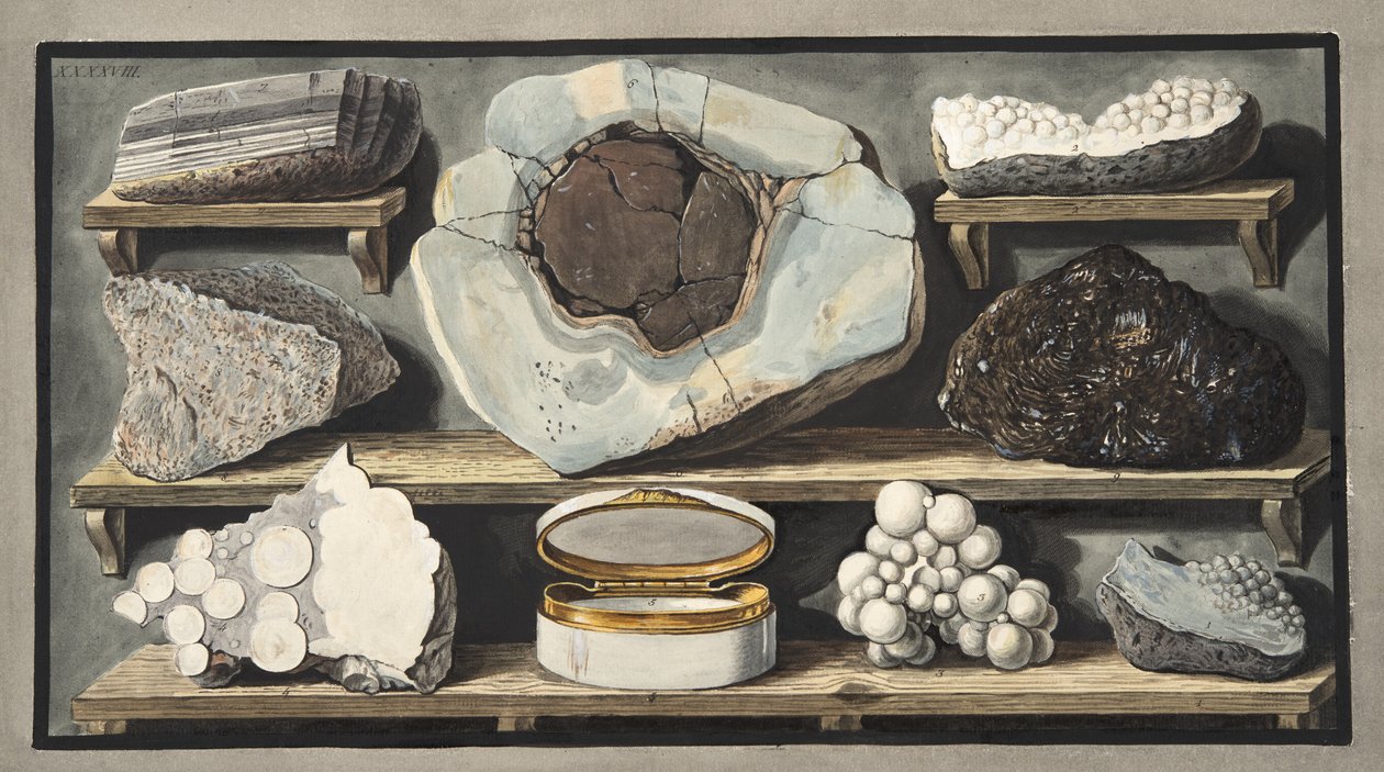 Tekijän Vesuviukselta löytämät omituiset kivet, levy XXXXVIII, Sir William Hamiltonin (1730-1803) teoksesta "Campi Phlegraei: Observations on the Volcanoes of the Two Sicilies" tekijältä Pietro Fabris