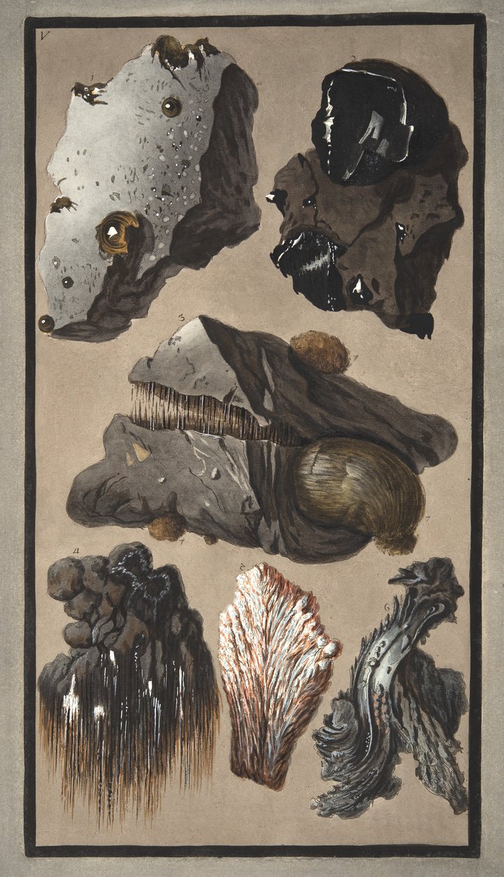 Näytteitä vulkaanisesta aineesta, Sir William Hamiltonin (1730-1803) teoksesta "Campi Phlegraei: Observations on the Volcanoes of the Two Sicilies", julkaistu 1776 (käsinvärinen kaiverrus) tekijältä Pietro Fabris
