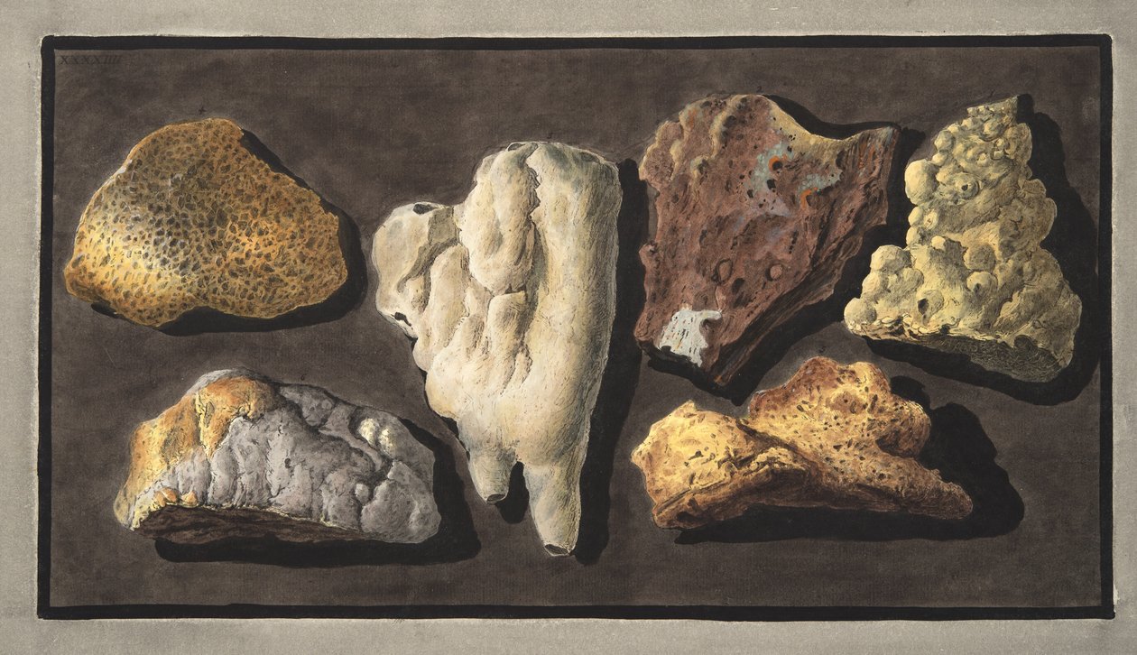 Näytteet vulkaanisesta aineesta, jotka on otettu Vesuviuksen kraatterin sisältä, levy XXXXIV, Sir William Hamiltonin (1730-180) teoksesta "Campi Phlegraei: Observations on the Volcanoes of the Two Sicilies" tekijältä Pietro Fabris