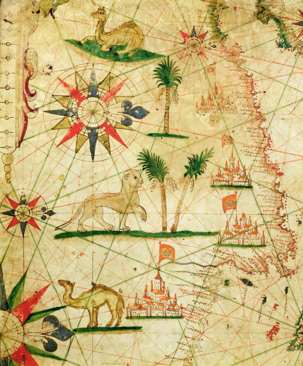 Afrikan pohjoisrannikko, merenkulkukartasta, 1651 (muste vellum) (yksityiskohta numerosta 330922) tekijältä Pietro Giovanni Prunes